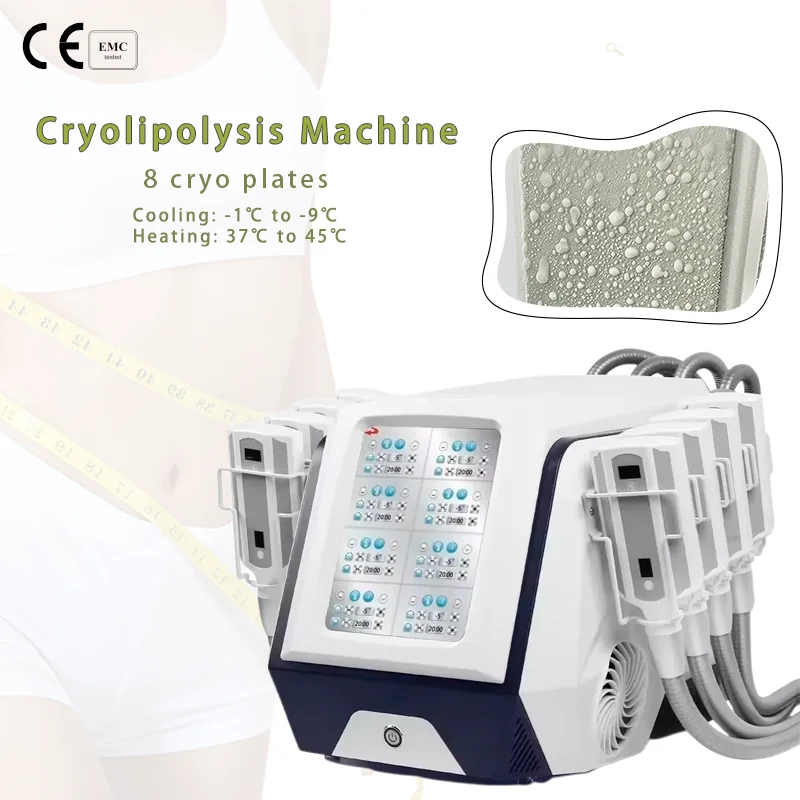 전문가용 휴대용 크라이오리폴리시스 기기 8개 핸들 아이 - Cryolipolysis Fat Freezing Machine 리뷰 및 가격