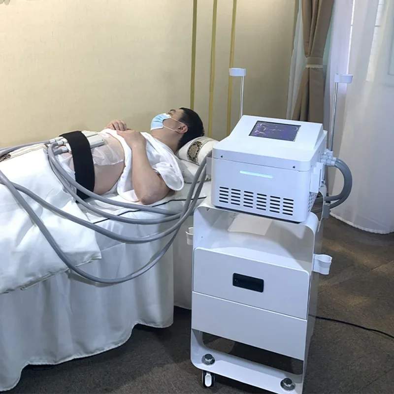 비침습적 EMS 바디 슬리밍 크라이오리폴리시스 멤브레인 - Cryolipolysis Fat Freezing Machine 리뷰 및 가격