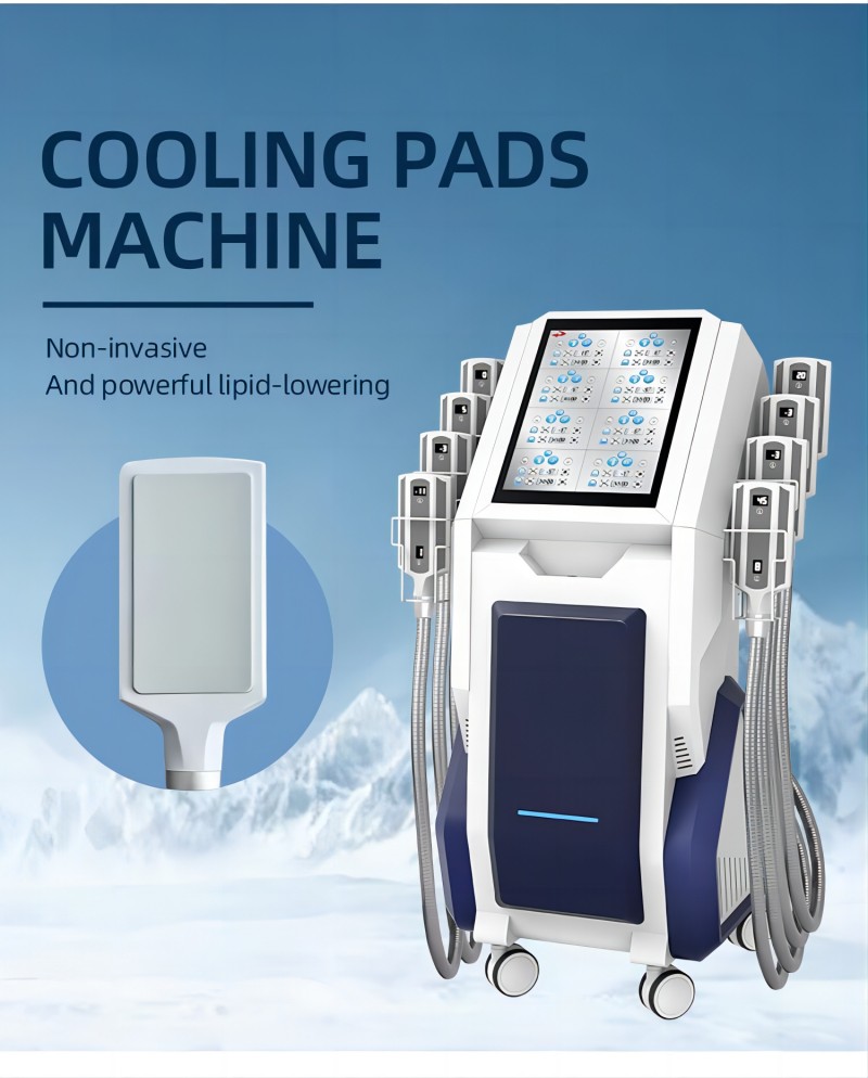 셀룰라이트 바디 슬리밍 기계 지방 냉동 라부부 컨투어링 - Cryolipolysis Fat Freezing Machine 리뷰 및 가격