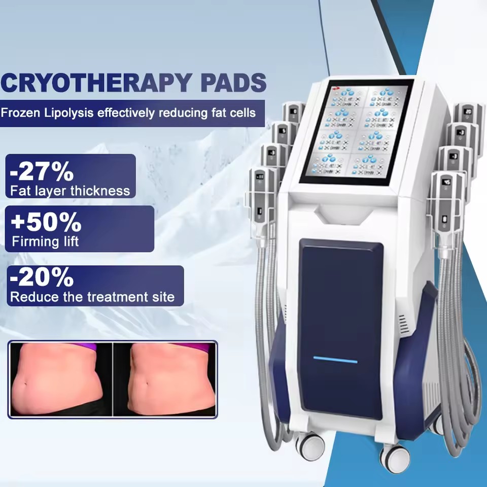 셀룰라이트 바디 슬리밍 기계 지방 냉동 라부부 컨투어링 - Cryolipolysis Fat Freezing Machine 리뷰 및 가격