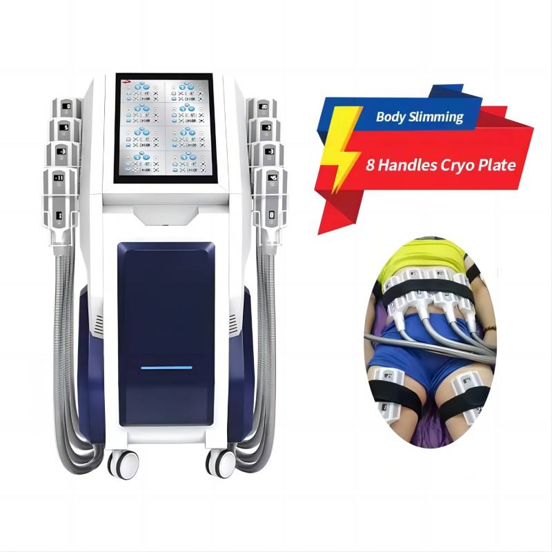셀룰라이트 바디 슬리밍 기계 지방 냉동 라부부 컨투어링 - Cryolipolysis Fat Freezing Machine 리뷰 및 가격