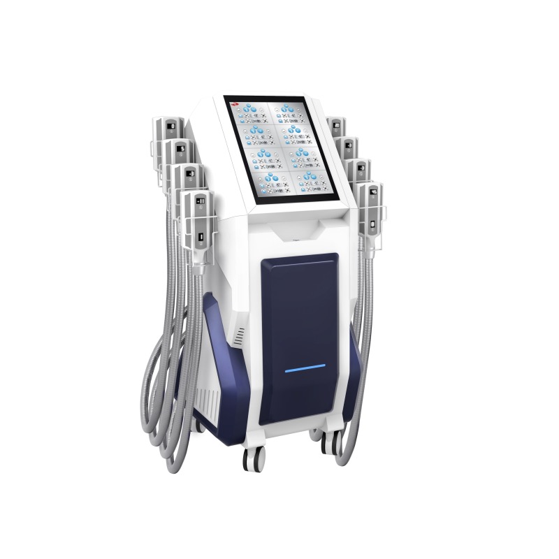 셀룰라이트 바디 슬리밍 기계 지방 냉동 라부부 컨투어링 - Cryolipolysis Fat Freezing Machine 리뷰 및 가격